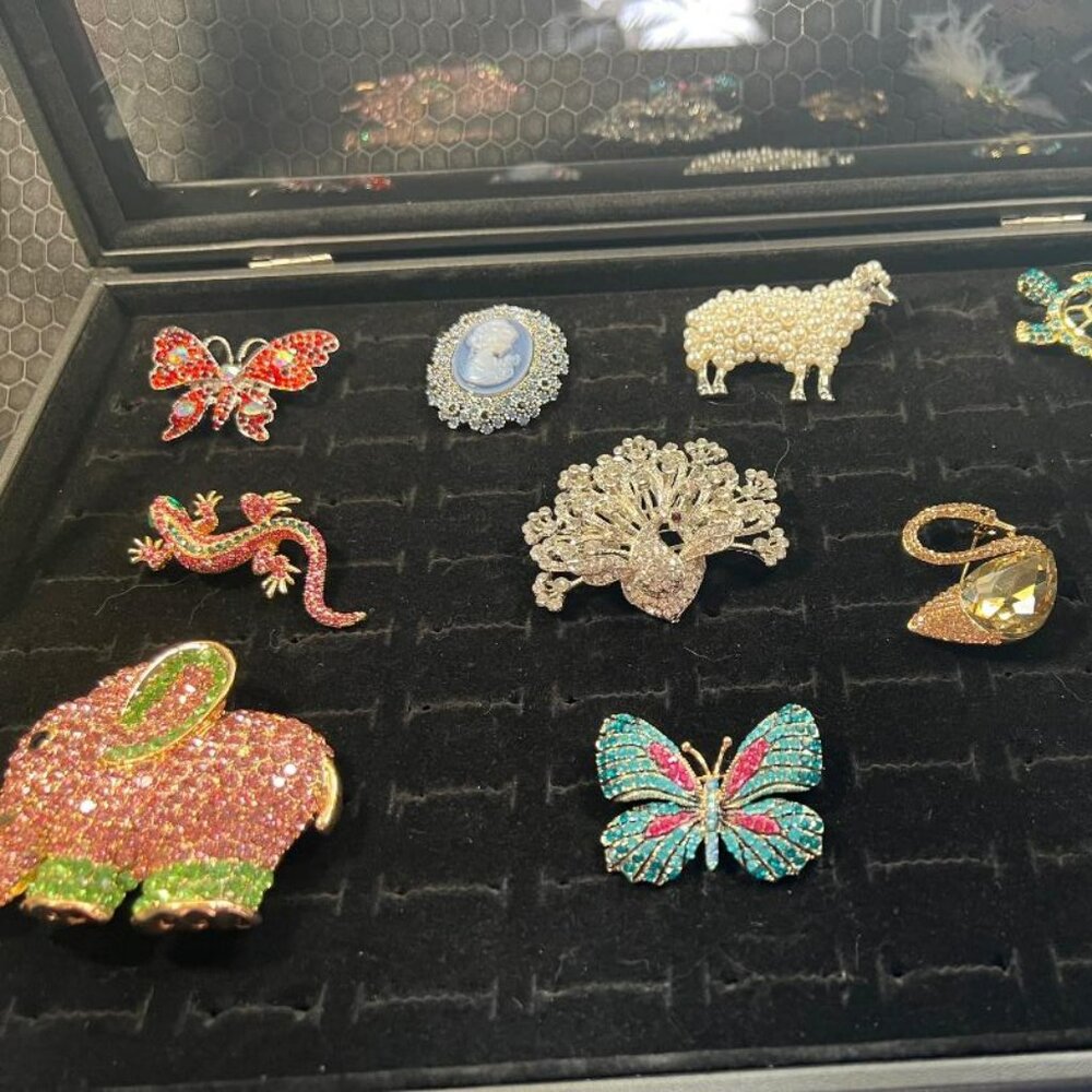 Woman's Brooches Bundle # 13- 10 Brooches total - Picture 1 of 2